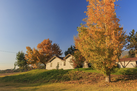 fall color over Oak Glen area, Los Angeles County, Californiaのeditorial素材