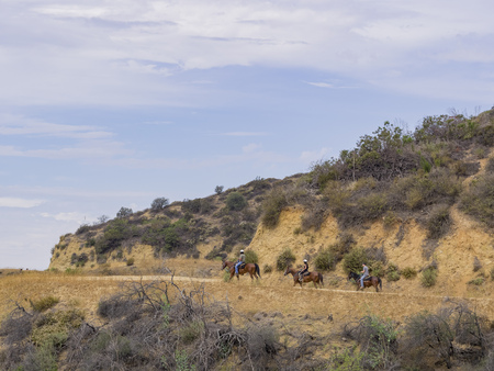 Horseback riding in Hollywood Hills trail, Los Angelesのeditorial素材
