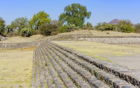 Trees and stairs on the Avenue of the Dead in Teotihuacan, Mexicoのeditorial素材