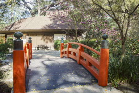 cherry blossom at Japanese Garden of Descanso Garden, Los Angeles, Californiaのeditorial素材