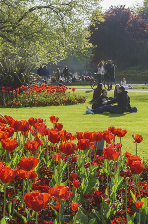Dublin, MAY 2: Tulip blossom on MAY 2, 2017 at St Stephen's Green, Dublin, Irelandのeditorial素材