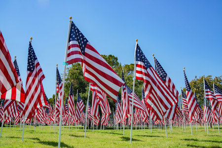 Sunny morning view of Sea of America Flagsのeditorial素材