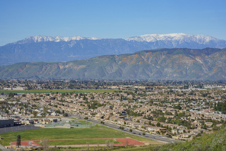 Lots of wild flower blossom at Diamond Valley Lake, Californiaのeditorial素材