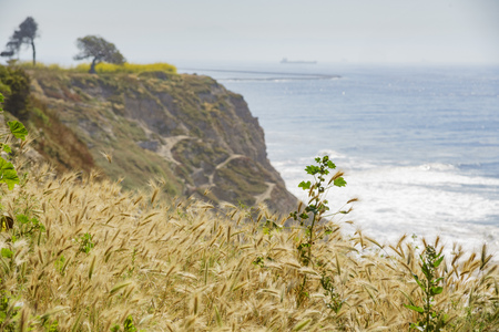 Beautiful cliff and ocean view around Point Fermin Lighthouse at San Pedro, Californiaの写真素材