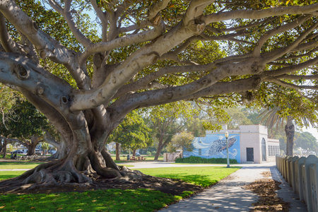 Beautiful scene around Point Fermin Lighthouse at San Pedro, Californiaのeditorial素材