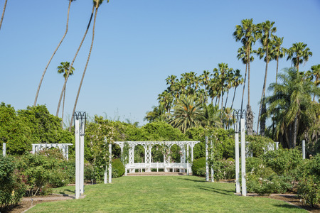 rose garden at Los Angeles County Arboretum and Botanic Gardenのeditorial素材