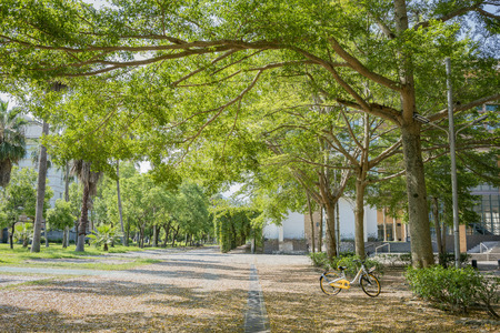 campus of National Dong Hwa University, Hualien, Taiwanのeditorial素材