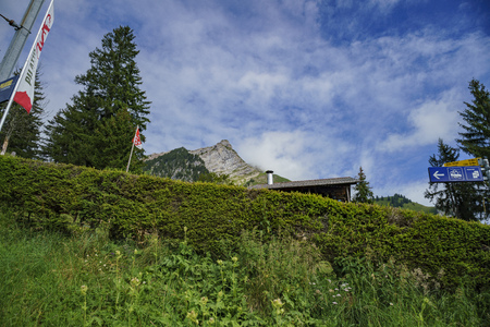 Lucerne, JUL 16: Scenic view from the special train climbing up to the Mount Pilatus on JUL 16, 2017 at Lucerne, Switzerlandのeditorial素材