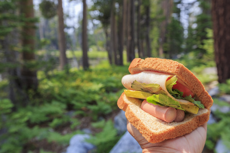 Close up shot of handmade sandwich, made with sausage, ham and vegtableの写真素材