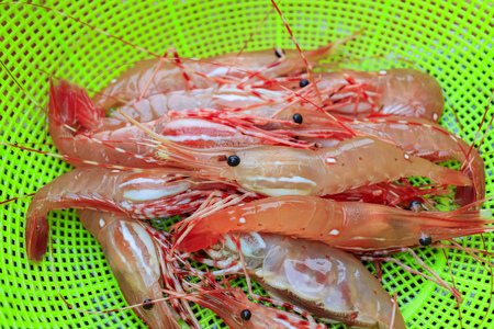 Fresh raw spot prawn selling at fish market at Newport Beachの写真素材