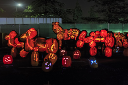 Arcadia, OCT 11: Special zoo style Pumpkin craft with light at night on OCT 11, 2015 at Santa Anita Mall, Los Angeles County, California, United Statesのeditorial素材
