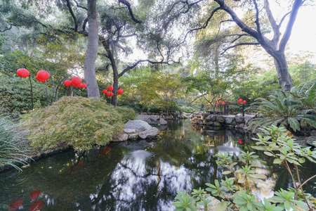 Many red lantern in Japanese garden of Descanso Garden, preparing for the light up eventのeditorial素材