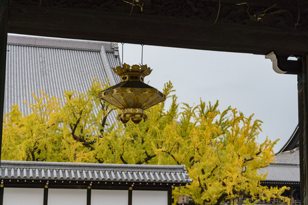 Beautiful Antique lamp and  ginkgo tree turning into yellow on Autumn, at Nishi Hongan-ji, Kyoto, Japanのeditorial素材