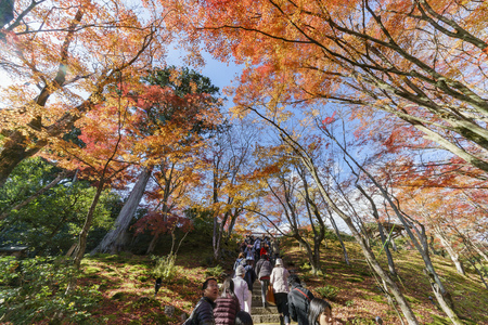 Kyoto, NOV 24: Beautiful fall color of Jojakko-Ji on NOV 24, 2017 at Kyoto, Japanのeditorial素材