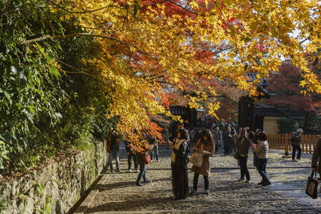 Kyoto, NOV 25: Beautiful fall color of Komyo-ji on NOV 25, 2017 at Kyoto, Japanのeditorial素材