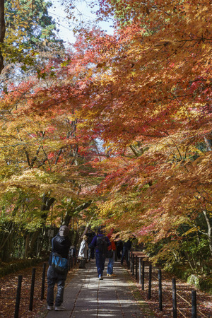 Kyoto, NOV 25: Beautiful fall color of Komyo-ji on NOV 25, 2017 at Kyoto, Japanのeditorial素材