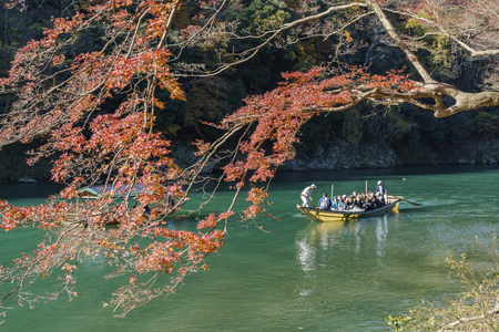 Kyoto, NOV 24: fall color and Katsura River with boat on NOV 24, 2017 at Arashiyama, Kyoto, Japanのeditorial素材