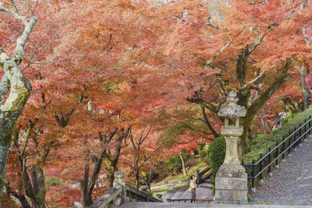 Kyoto, NOV 26: The Otowa-san Kiyomizu-dera in fall color on NOV 26, 2017 at Kyoto, Japanのeditorial素材