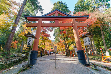 Otsu, NOV 23: fall color of Hiyoshi Taisha on NOV 23, 2017 at Otsu, Shiga, Japanのeditorial素材