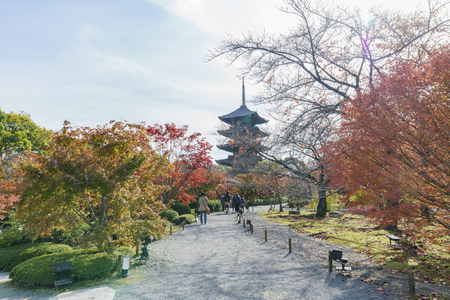 Kyoto, NOV 25: fall color of To-ji on NOV 25, 2017 at Kyoto, Japanのeditorial素材