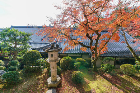 fall color scenery of Komyo-ji at Kyoto, Japan