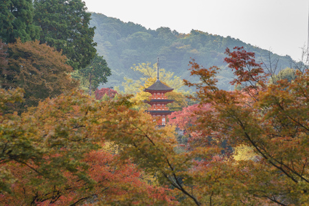 The Pagoda of Otowa-san Kiyomizu-dera in fall color, Kyoto, Japanのeditorial素材