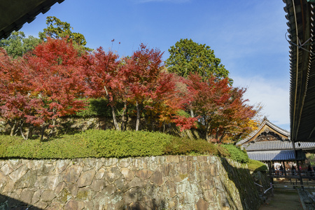 Komyo-ji at Kyoto, Japanのeditorial素材