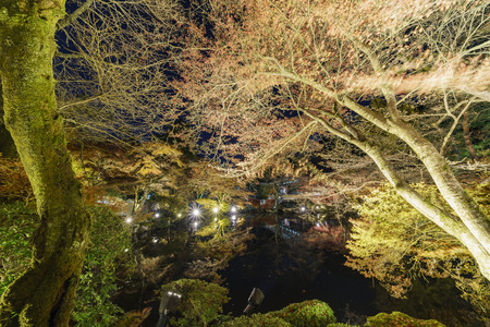 night scene of Daigo-ji at Kyoto, Japanのeditorial素材