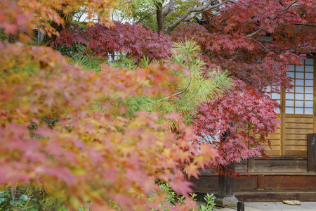 Seiryo-ji, Kyoto, Japanのeditorial素材