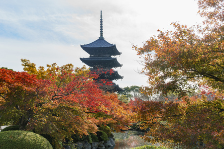 To-ji at Kyoto, Japanのeditorial素材
