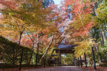 Komyo-ji at Kyoto, Japanのeditorial素材