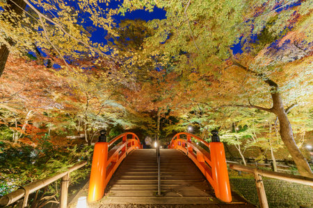 night fall color of Kitano Tenmangu at Kyoto, Japanの写真素材