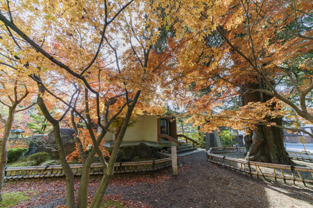 fall color of Komyo-ji at Kyoto, Japanのeditorial素材