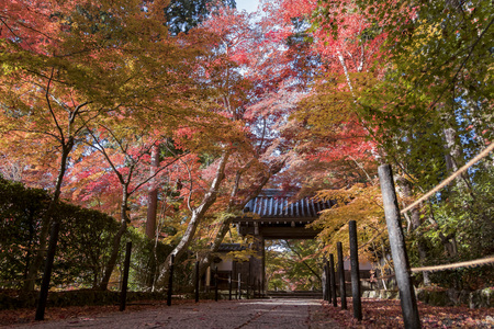 fall color of Komyo-ji at Kyoto, Japanのeditorial素材