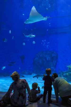 Copenhagen, NOV 20: Interior view of the famous National Aquarium Denmark of Copenhagen on NOV 20, 2015 at Copenhagen, Denmarkのeditorial素材