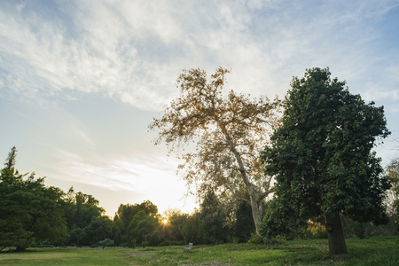 Nature pathway on a sunny dayの写真素材