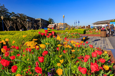 scene around Pier 39 at San Franciscoのeditorial素材