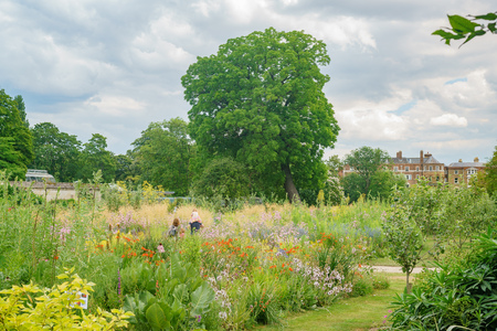 The beautiful University of Oxford Botanic Garden at Oxford, United Kingdomのeditorial素材
