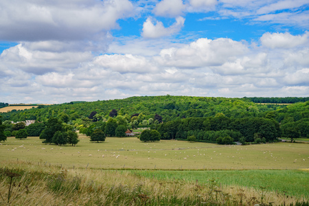 Large grass field in the Weald & Downland Living Museum at Chichester, United Kingdomのeditorial素材