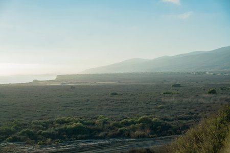 sea shore landscape of San Diego County