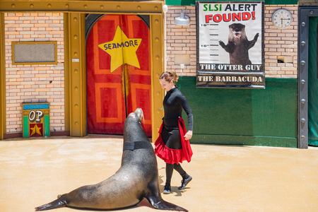 San Diego, JUN 27: Sea Lion and Otter Stadium show in the famous SeaWorld on JUN 27, 2018 at San Diego, Californiaのeditorial素材