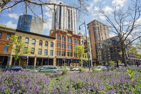 Denver, MAY 3: Beautiful building and purple flower blossom in downtown on MAY 3, 2017 at Denver, Coloradoのeditorial素材