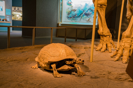 Denver, MAY 6: Interior view of the Denver Museum of Nature and Science on MAY 6, 2017 at Denver, Coloradoのeditorial素材