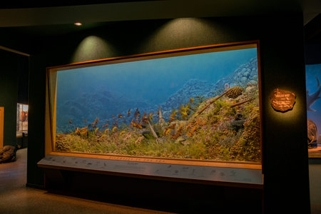 Denver, MAY 6: Interior view of the Denver Museum of Nature and Science on MAY 6, 2017 at Denver,...