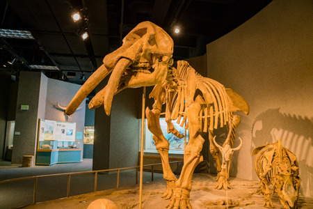 Denver, MAY 6: Interior view of the Denver Museum of Nature and Science on MAY 6, 2017 at Denver, Coloradoのeditorial素材