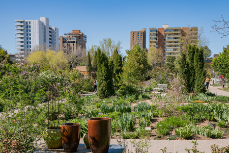Denver, MAY 5: The beautiful Denver Botanic Gardens on MAY 5, 2017 at Denver, Coloradoのeditorial素材
