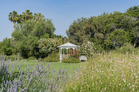 Kisok and flower blossom South Coast Botanic Garden at Los Angeles, Californiaの写真素材