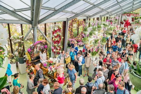 Lisse, APR 21: Interior view of a special exhibition on APR 21, 2018 at Keukenhof, Lisse, Netherlandsのeditorial素材