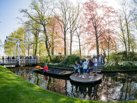 Lisse, APR 21: Super colorful tulips blossom on APR 21, 2018 at Keukenhof, Lisse, Netherlandsのeditorial素材
