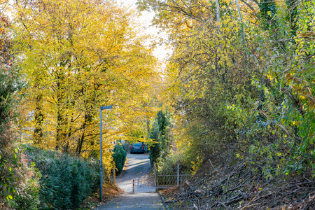 Iserlohn, NOV 8: Beautiful fall color around country side of Iserlohn on NOV 8, 2018 at Iserlohn, Germanyのeditorial素材